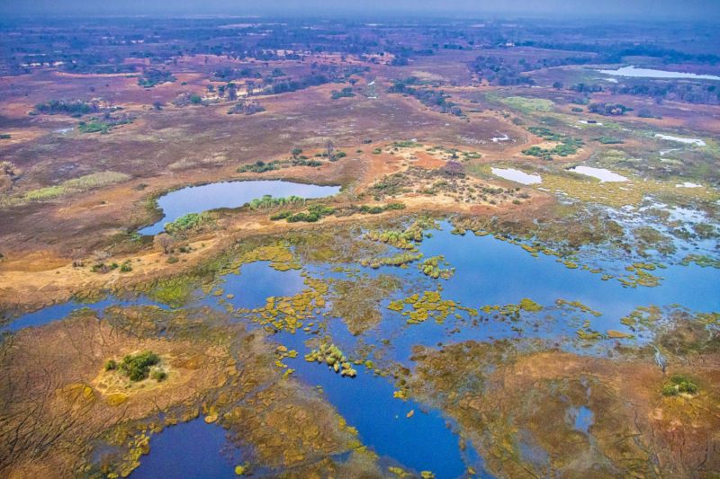 Conoce cuáles son los problemas más preocupantes para la conservación