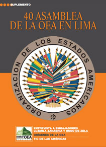 Suplemento OEA.
