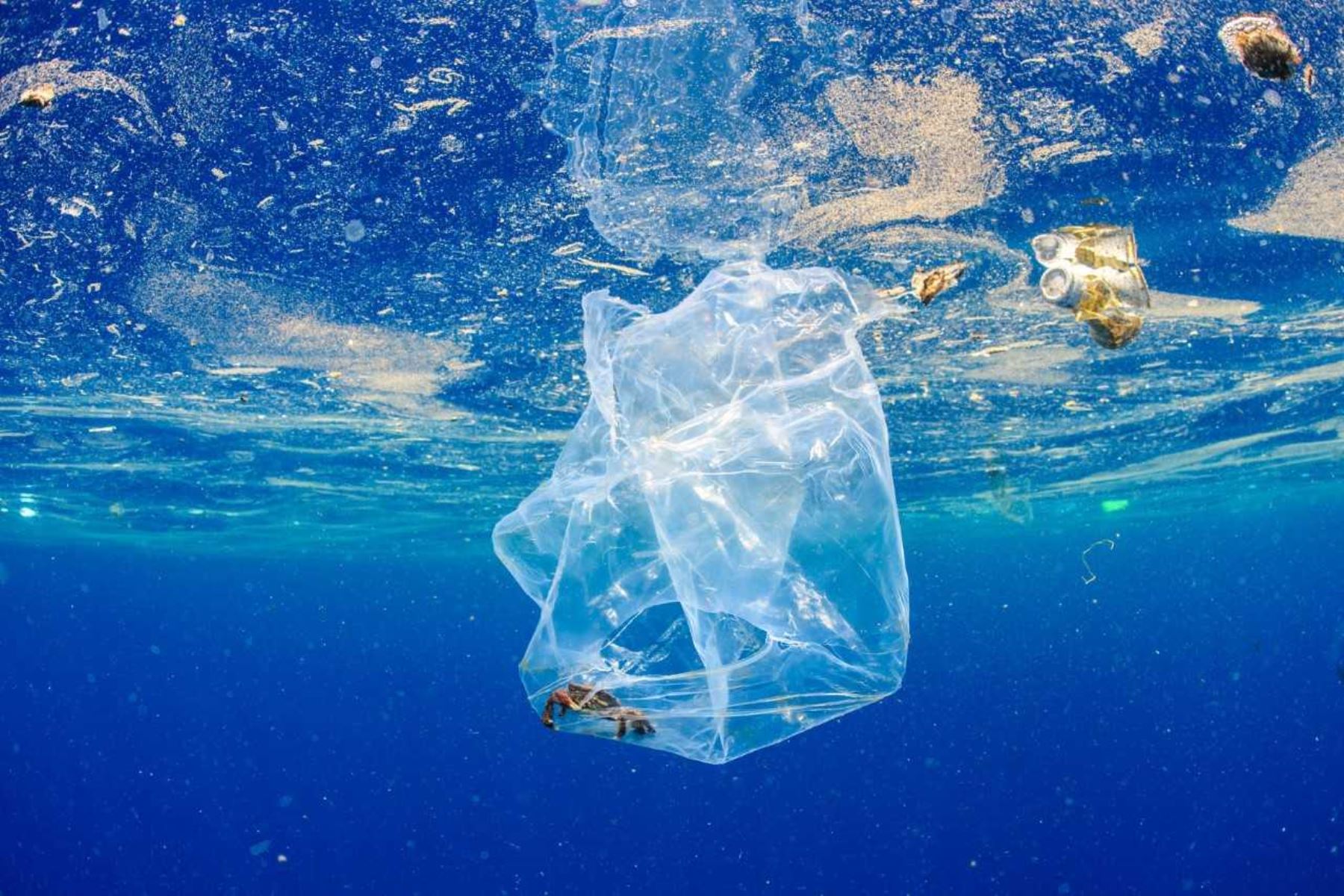 contaminación de plásticos en el mar
