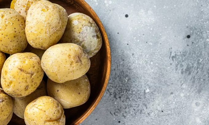 Canarian boiled potatoes papas arrugadas. Gray background. Top view