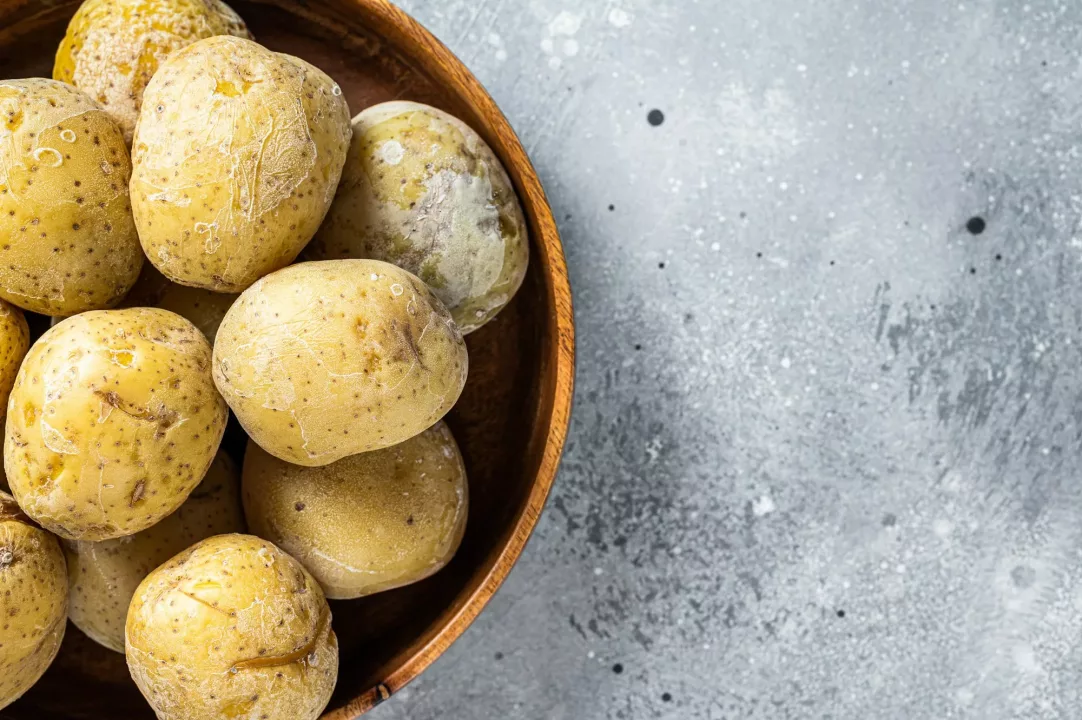 Canarian boiled potatoes papas arrugadas. Gray background. Top view