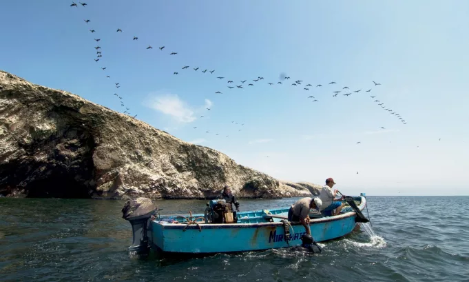 Turismo sostenible: Áreas naturales protegidas de Perú están nominadas a los "Green Destinations 2025"