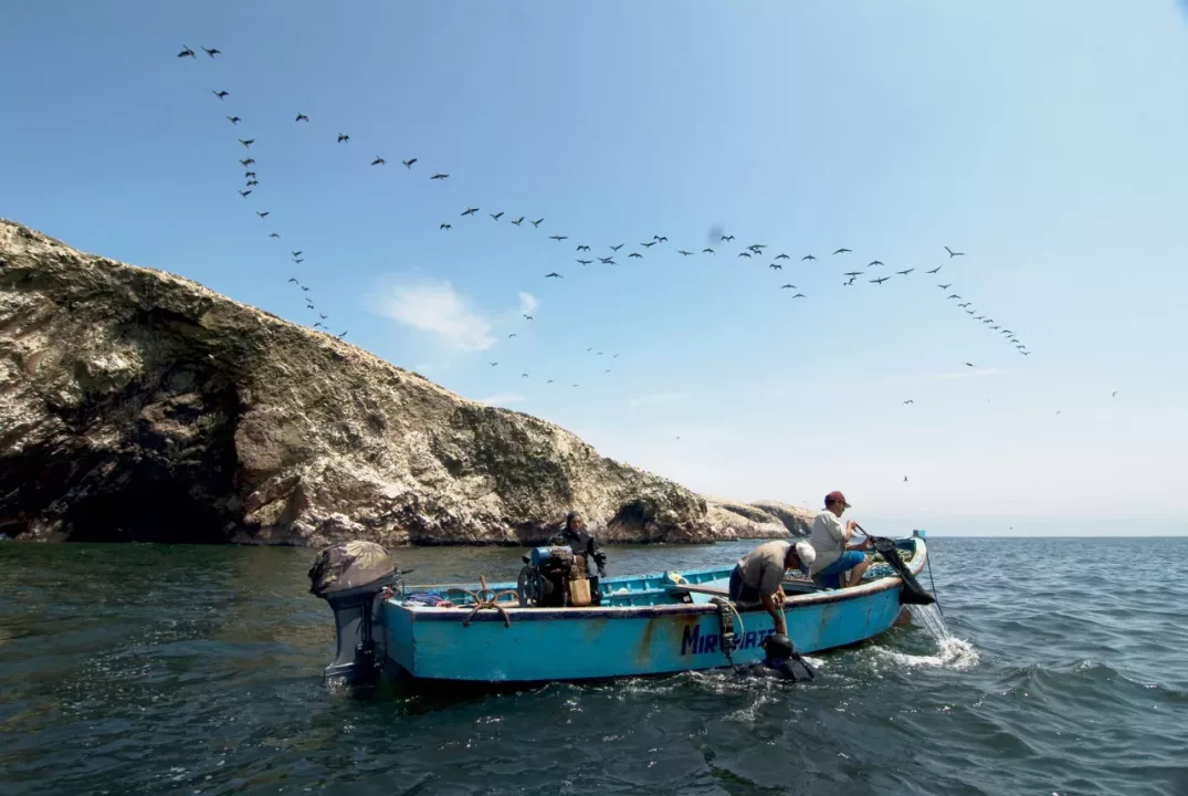 Turismo sostenible: Áreas naturales protegidas de Perú están nominadas a los "Green Destinations 2025"