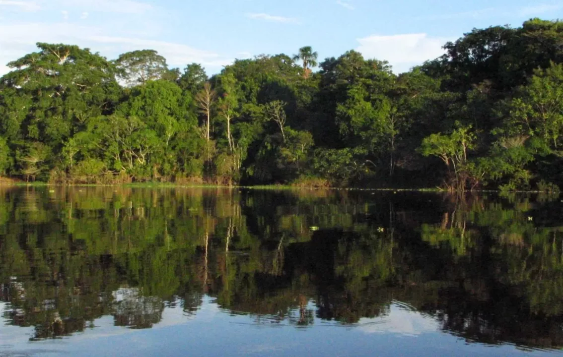 Serfor y Osinfor renuevan convenio para impulsar sector forestal y de fauna silvestre legal