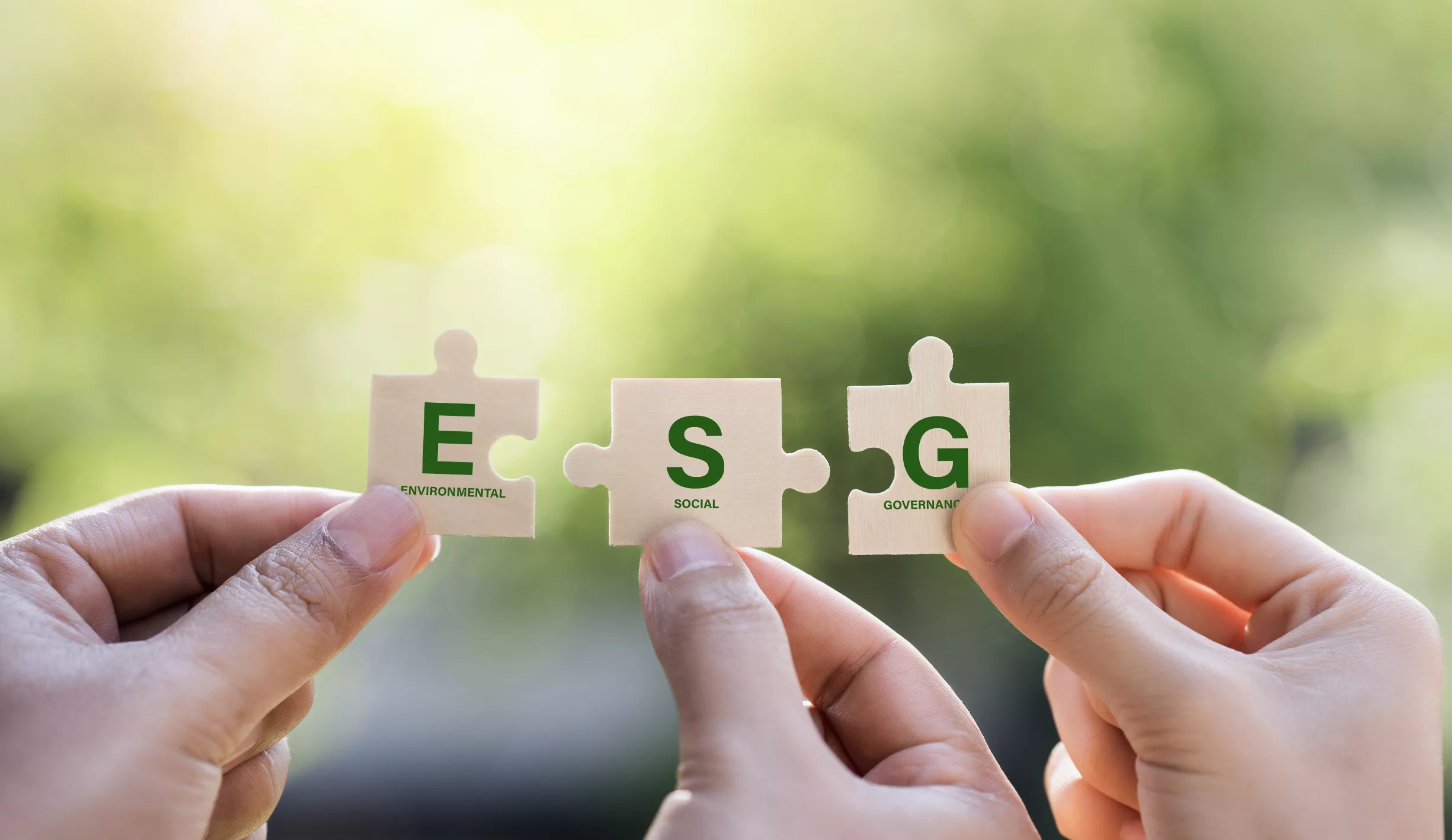 ¿El ESG está perdiendo vigencia, o evolucionando? Informe de IPSOS da luces sobre el paradigma