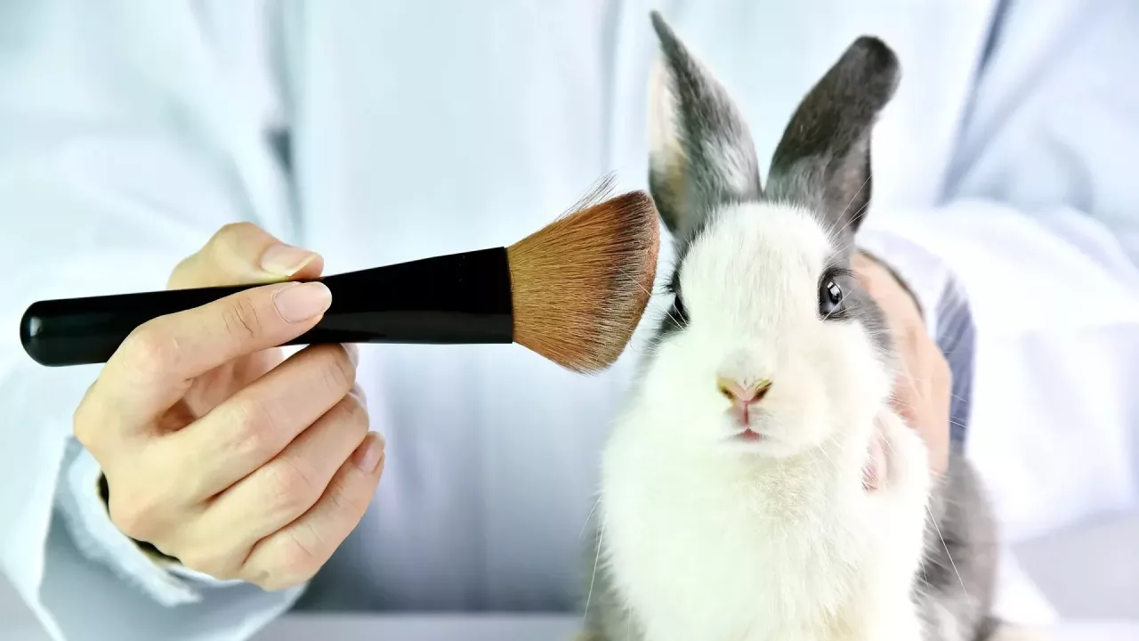 Buscan eliminar los experimentos cosméticos en animales: Proyecto clave llega al Congreso