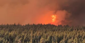 Feroz incendio en la Patagonia argentina deja un muerto y casi 3.000 hectáreas quemadas