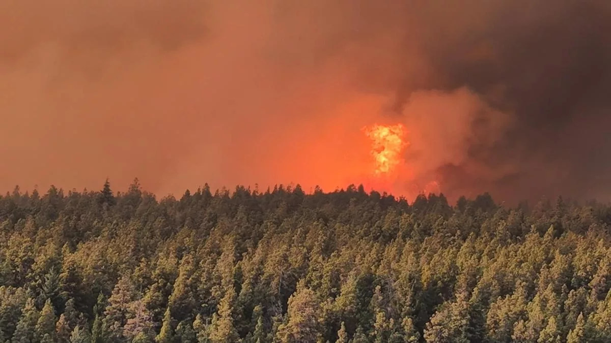 Feroz incendio en la Patagonia argentina deja un muerto y casi 3.000 hectáreas quemadas