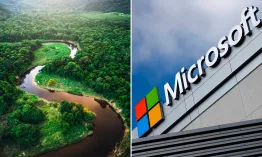 Microsoft financiará la reforestación del Amazonas para compensar la huella de la IA: Las cifras