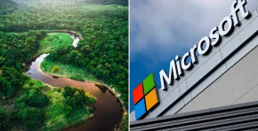 Microsoft financiará la reforestación del Amazonas para compensar la huella de la IA: Las cifras