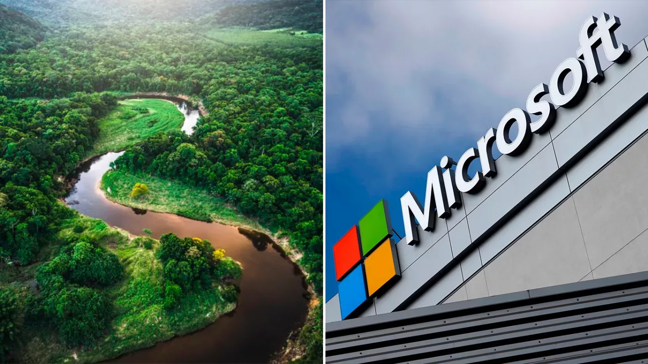 Microsoft financiará la reforestación del Amazonas para compensar la huella de la IA: Las cifras