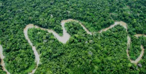 Día de la Amazonía Peruana: ¿Cómo proteger lo que aún no conocemos en su totalidad?