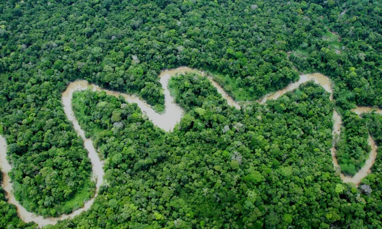 Día de la Amazonía Peruana: ¿Cómo proteger lo que aún no conocemos en su totalidad?