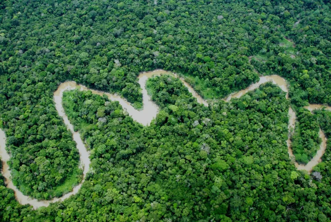 Día de la Amazonía Peruana: ¿Cómo proteger lo que aún no conocemos en su totalidad?