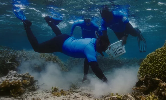 La campaña de Samsung destaca el uso de la tecnología Galaxy como herramienta de conservación.