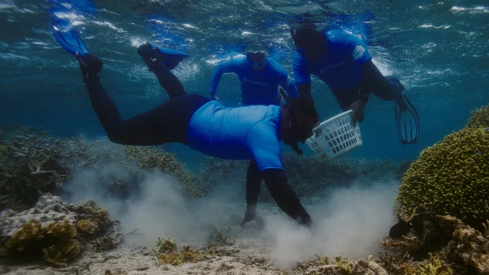 La campaña de Samsung destaca el uso de la tecnología Galaxy como herramienta de conservación.