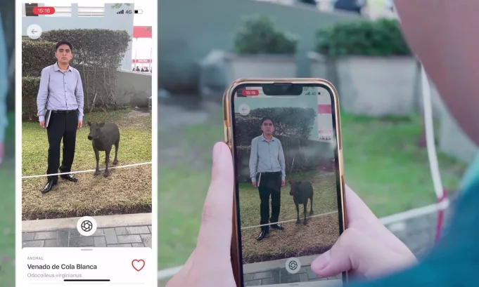 Jóvenes peruanos son reconocidos internacionalmente por desarrollar app sobre fauna y turismo local