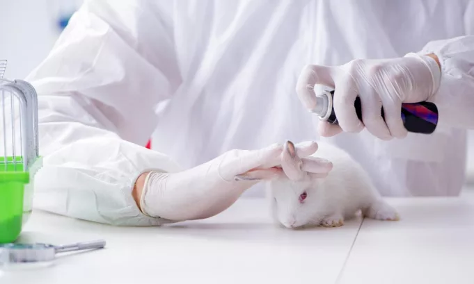 Industria cosmética sin crueldad: Perú se alista para dar el gran salto en protección animal