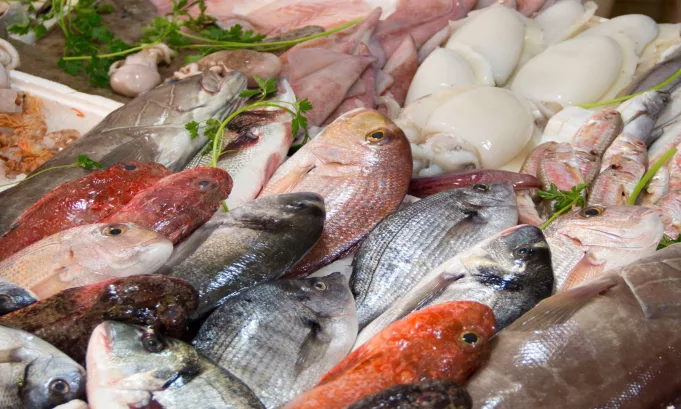 ¿Qué pescado estás llevando a tu mesa esta Semana Santa? Un llamado a un consumo responsable
