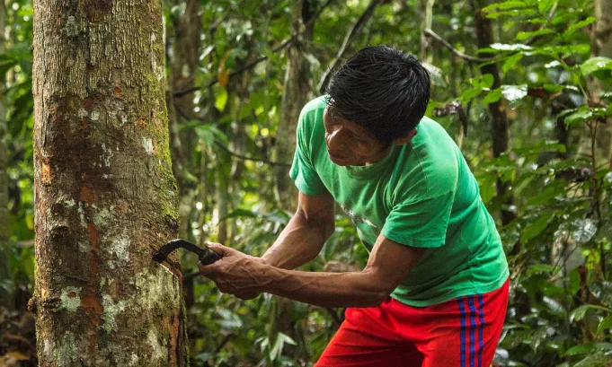 Perú expone avances ante la ONU, pero aún enfrenta brechas en protección legal y financiamiento contra la deforestación