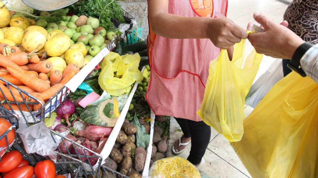 El 30% de los hogares peruanos sufre para cubrir la canasta básica familiar