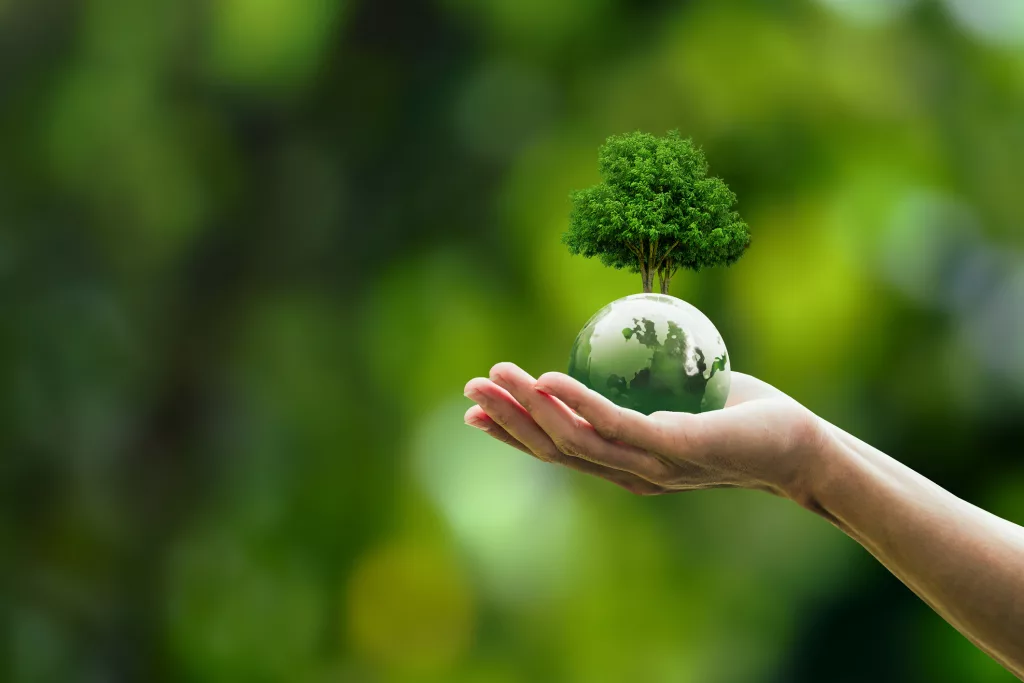 Perú apuesta por el carbono: la hoja de ruta hacia una economía baja en emisiones