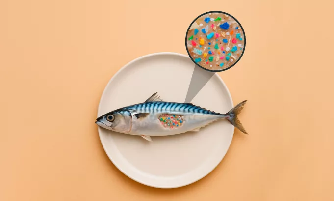Microplásticos en la industria alimentaria: una amenaza silenciosa que exige acción inmediata