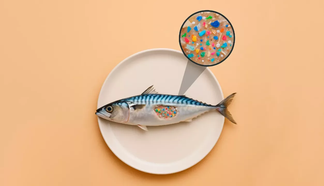 Microplásticos en la industria alimentaria: una amenaza silenciosa que exige acción inmediata