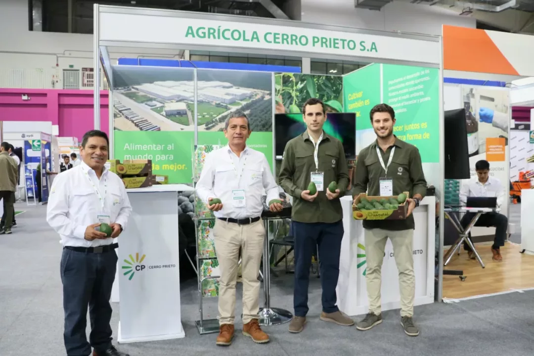 Premian innovador sistema de reutilización de agua que reduce el consumo hídrico en el agro: el caso de Agrícola Cerro Prieto