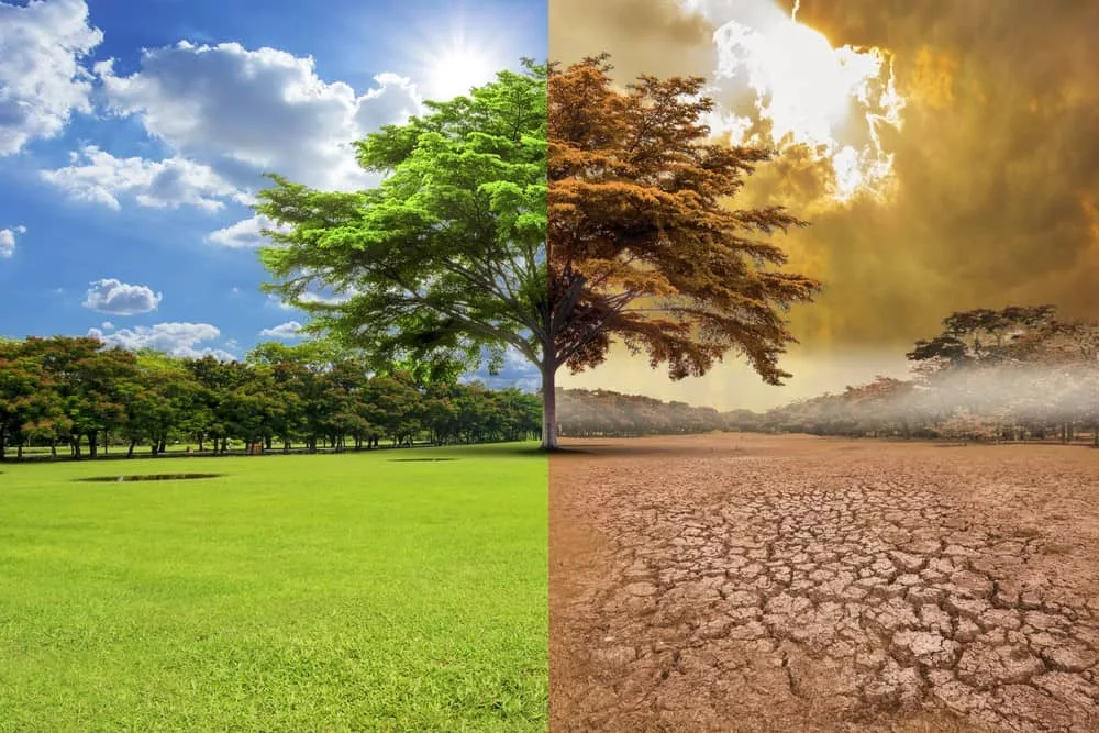 Histórico fallo de la ONU abre la puerta a que países se demanden entre sí por contribuir al cambio climático