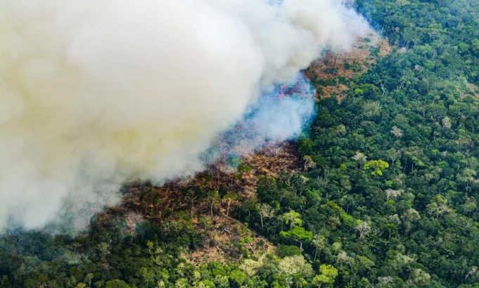 Perú perdió once veces el tamaño de Lima Metropolitana en bosques de la Amazonía: ¿Qué factores incidieron más?