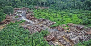 Minam fortalece su lucha contra la desertificación y la sequía con Plan Nacional al 2030