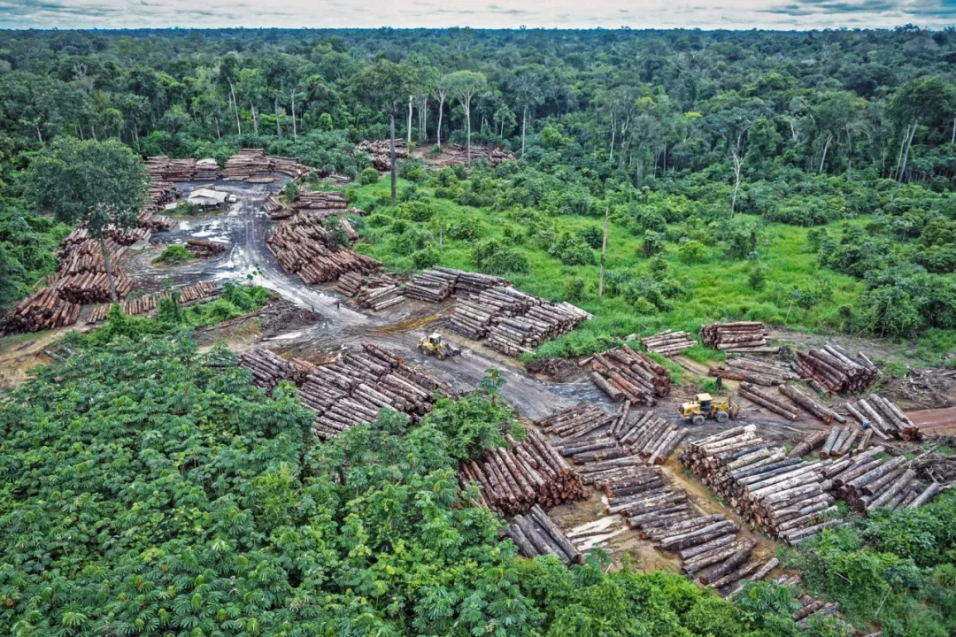 Minam fortalece su lucha contra la desertificación y la sequía con Plan Nacional al 2030