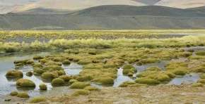 Perú impulsa iniciativa regional sobre conservación y uso sostenible de humedales altoandinos
