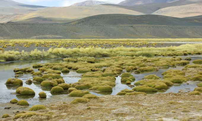 Perú impulsa iniciativa regional sobre conservación y uso sostenible de humedales altoandinos