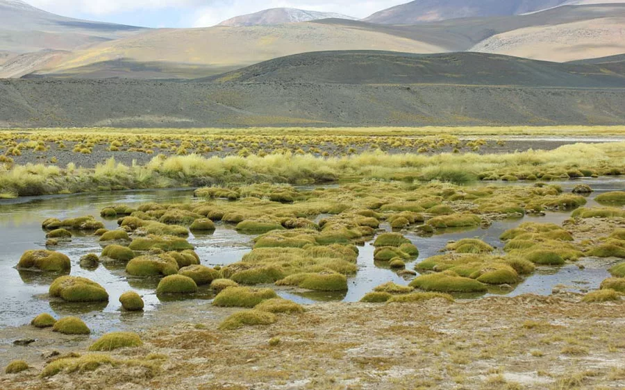 Perú impulsa iniciativa regional sobre conservación y uso sostenible de humedales altoandinos