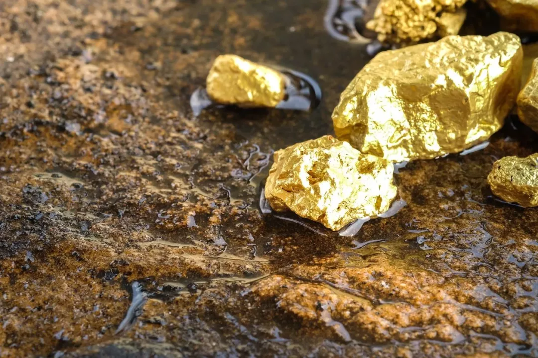 Oro ilegal: exportaciones clandestinas podrían igualar a las legales en 2025