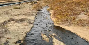 Derrame en Talara: Petroperú denuncia sabotaje mientras escolares suspenden clases por presencia de crudo