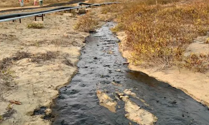 Derrame en Talara: Petroperú denuncia sabotaje mientras escolares suspenden clases por presencia de crudo