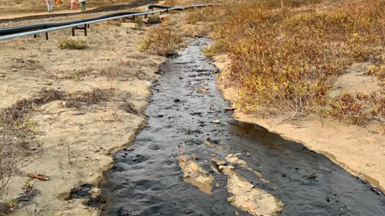 Derrame en Talara: Petroperú denuncia sabotaje mientras escolares suspenden clases por presencia de crudo