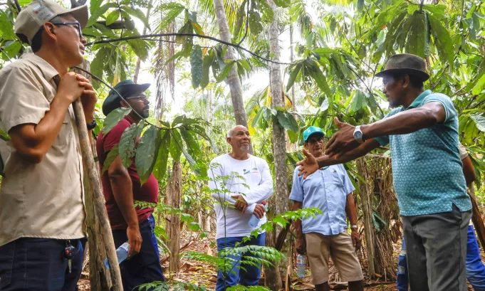 Bosques bajo resguardo: más de 6,600 hectáreas en la Amazonía peruana se conservan gracias a contratos agroforestales