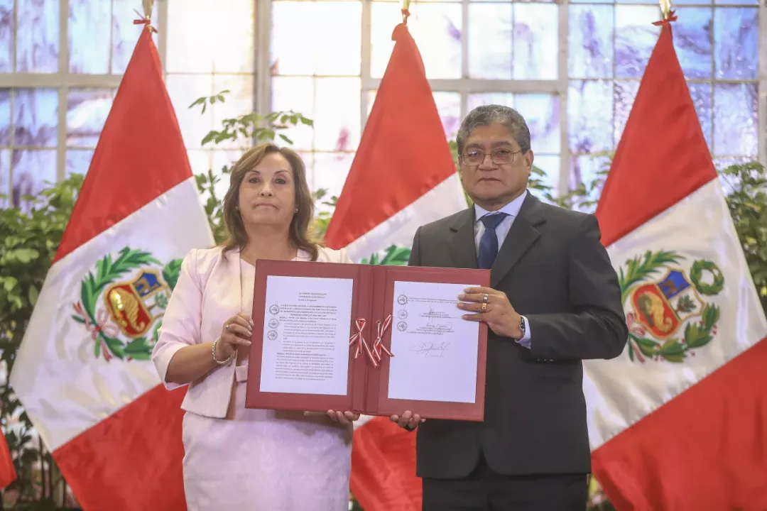 Dina Boluarte promulga ley de amnistía a militares y policías acusados de violar derechos humanos