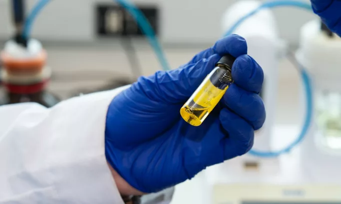 Camelina: la planta que SKY impulsa para volar con combustible sostenible