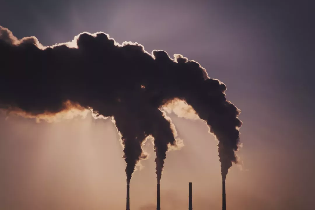 ¿Tu empresa reduce sus emisiones de carbono? Conoce por qué es importante registrarlo en el Renami
