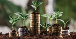 Perú avanza en Finanzas Verdes: crean comisión para taxonomía ambiental del sistema financiero