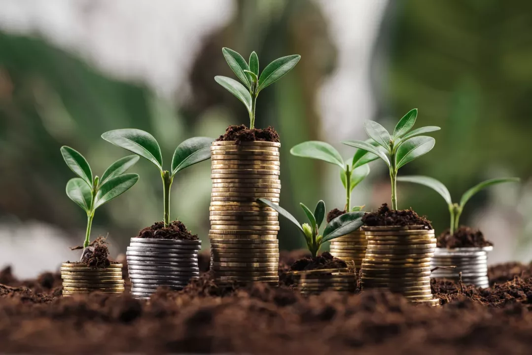 Perú avanza en Finanzas Verdes: crean comisión para taxonomía ambiental del sistema financiero