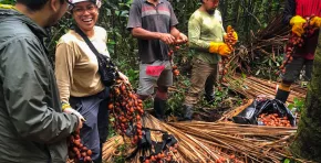 Soluciones climáticas desde la Amazonía: naturaleza, negocio rentable y responsabilidad compartida