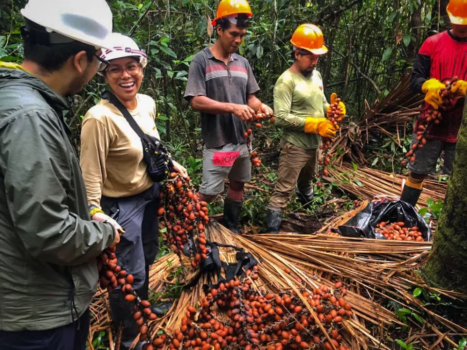 Soluciones climáticas desde la Amazonía: naturaleza, negocio rentable y responsabilidad compartida