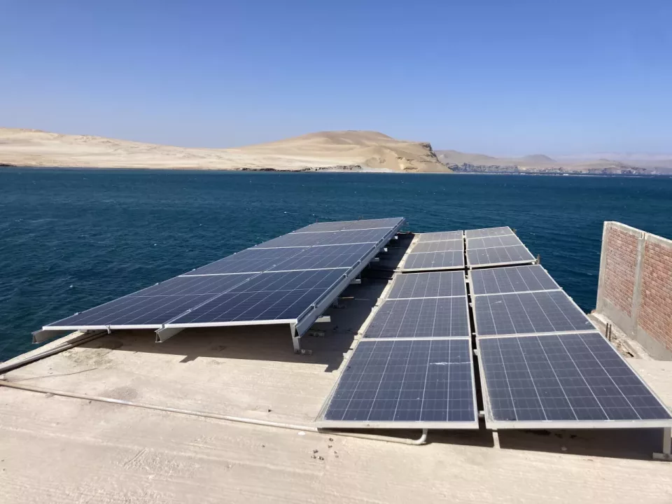 Laguna Grande en Pisco accede por primera vez a luz e internet