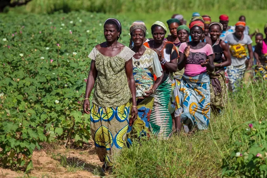 Igualdad de género: ONU advierte déficit global de 420 mil millones de dólares para cumplir compromisos